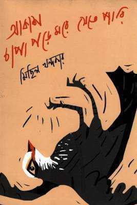 আকাশ চাপা পড়ে মরে যতেে পারি 